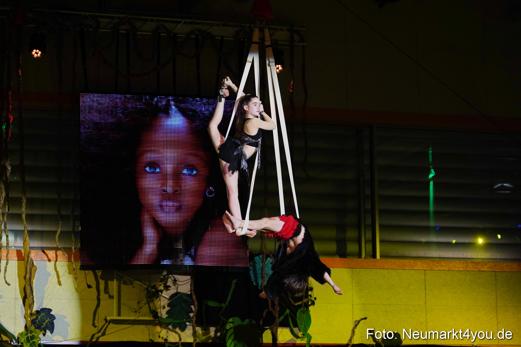 Artico Artistical Dschungelbuch 2020 0174